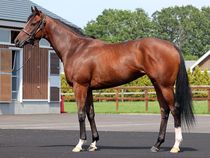 ����å��ǳ��������ɽ�����ޤ�