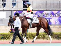 ����å��ǳ��������ɽ�����ޤ�