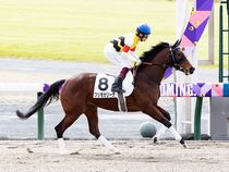 ����å��ǳ��������ɽ�����ޤ�