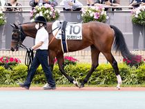 ����å��ǳ��������ɽ�����ޤ�