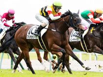 ����å��ǳ��������ɽ�����ޤ�