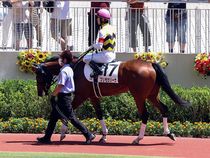 ����å��ǳ��������ɽ�����ޤ�