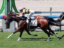 ����å��ǳ��������ɽ�����ޤ�