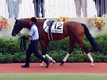 ����å��ǳ��������ɽ�����ޤ�