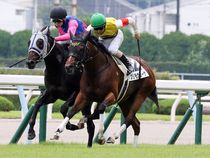 ����å��ǳ��������ɽ�����ޤ�