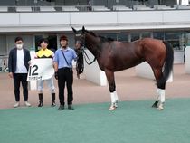 ����å��ǳ��������ɽ�����ޤ�