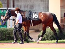 ����å��ǳ��������ɽ�����ޤ�