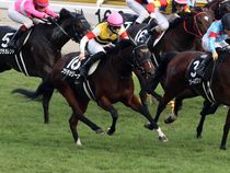 ����å��ǳ��������ɽ�����ޤ�