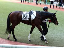 ����å��ǳ��������ɽ�����ޤ�