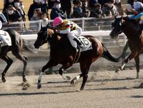 ����å��ǳ��������ɽ�����ޤ�