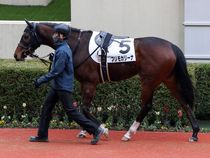 ����å��ǳ��������ɽ�����ޤ�