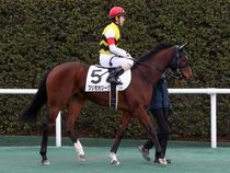 ����å��ǳ��������ɽ�����ޤ�