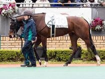 ����å��ǳ��������ɽ�����ޤ�