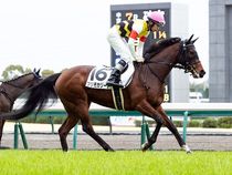 ����å��ǳ��������ɽ�����ޤ�