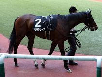 ����å��ǳ��������ɽ�����ޤ�