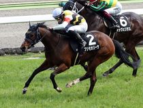 ����å��ǳ��������ɽ�����ޤ�