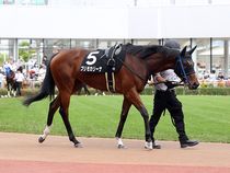 ����å��ǳ��������ɽ�����ޤ�