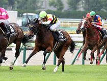 ����å��ǳ��������ɽ�����ޤ�