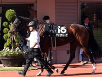 ����å��ǳ��������ɽ�����ޤ�