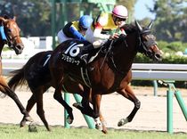 ����å��ǳ��������ɽ�����ޤ�