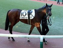 ����å��ǳ��������ɽ�����ޤ�