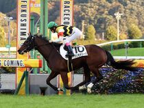 ����å��ǳ��������ɽ�����ޤ�