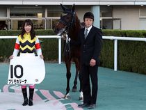 ����å��ǳ��������ɽ�����ޤ�