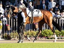 ����å��ǳ��������ɽ�����ޤ�