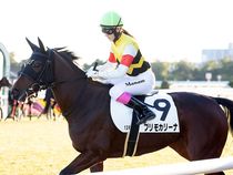 ����å��ǳ��������ɽ�����ޤ�