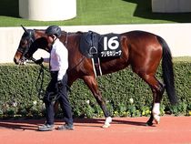 ����å��ǳ��������ɽ�����ޤ�