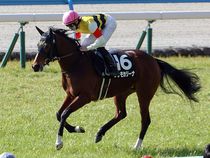 ����å��ǳ��������ɽ�����ޤ�