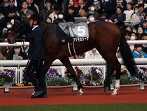 ����å��ǳ��������ɽ�����ޤ�