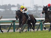 ����å��ǳ��������ɽ�����ޤ�