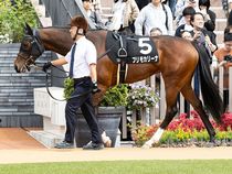 ����å��ǳ��������ɽ�����ޤ�