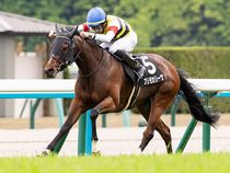 ����å��ǳ��������ɽ�����ޤ�