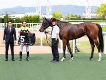 ����å��ǳ��������ɽ�����ޤ�