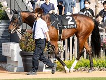 ����å��ǳ��������ɽ�����ޤ�