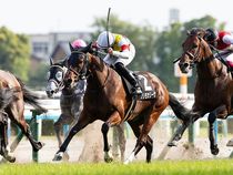 ����å��ǳ��������ɽ�����ޤ�