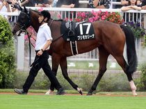 ����å��ǳ��������ɽ�����ޤ�