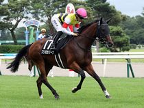 ����å��ǳ��������ɽ�����ޤ�