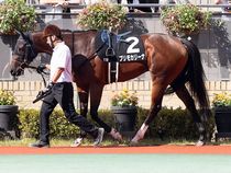 ����å��ǳ��������ɽ�����ޤ�