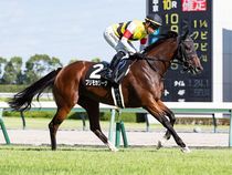 ����å��ǳ��������ɽ�����ޤ�