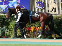 ����å��ǳ��������ɽ�����ޤ�