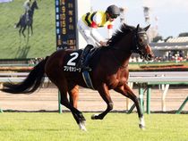 ����å��ǳ��������ɽ�����ޤ�