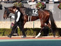 ����å��ǳ��������ɽ�����ޤ�