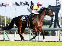 ����å��ǳ��������ɽ�����ޤ�