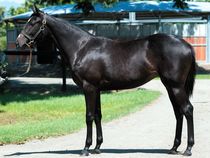 ����å��ǳ��������ɽ�����ޤ�