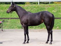 ����å��ǳ��������ɽ�����ޤ�