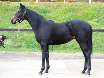 ����å��ǳ��������ɽ�����ޤ�