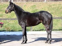 ����å��ǳ��������ɽ�����ޤ�